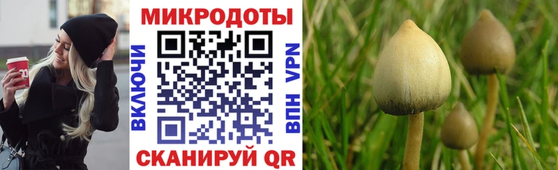 Галлюциногенные грибы ЛСД  что такое наркотик  Выкса 